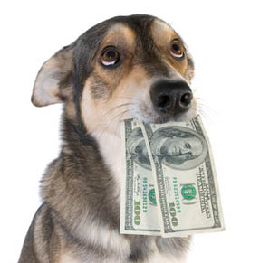 pet sitting prices