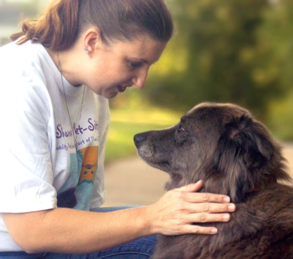 Shannon understanding a dog's need