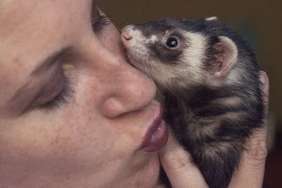 Shannon with Star the Ferret